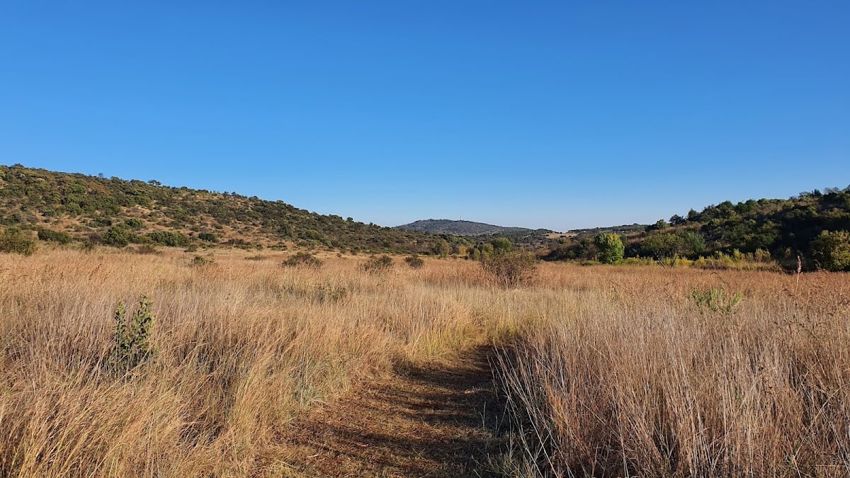 Groenkloof Nature Reserve - Pretoria