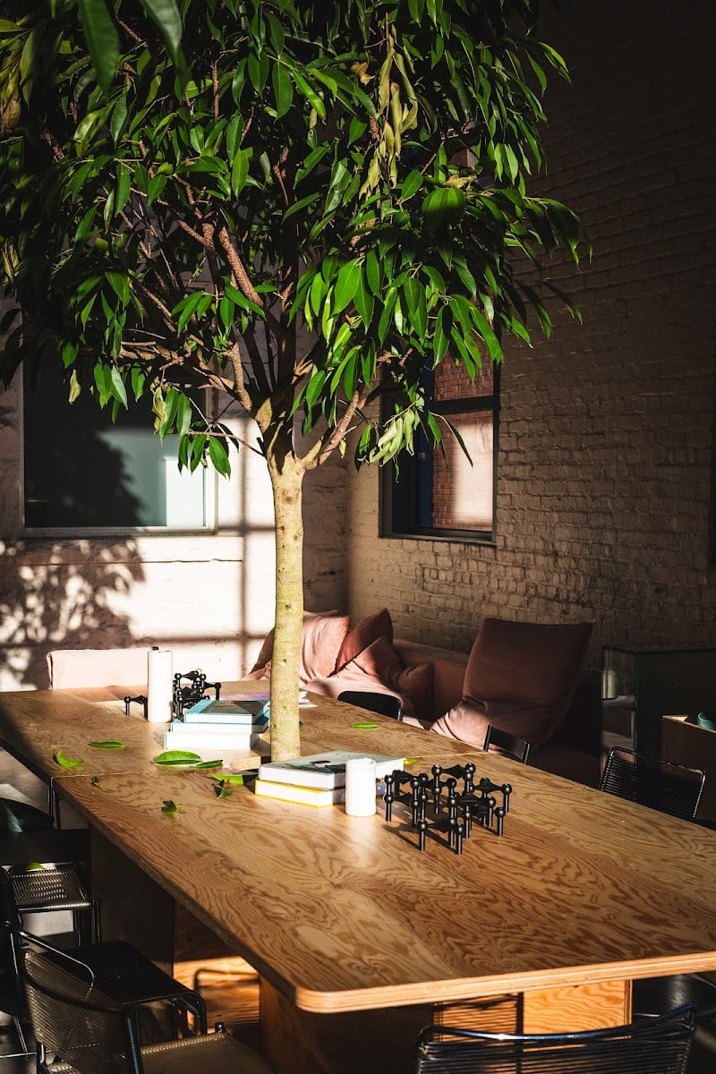 Savsav - Café med studyspots