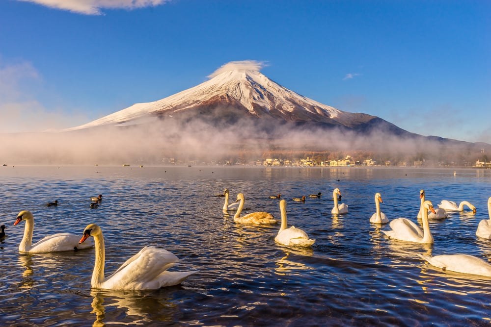 山中湖