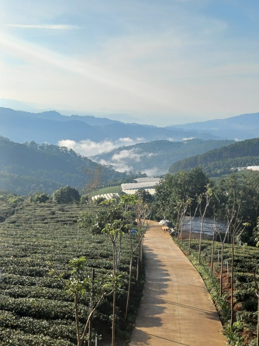 Đà Lạt Lâm Đồng Việt Nam
