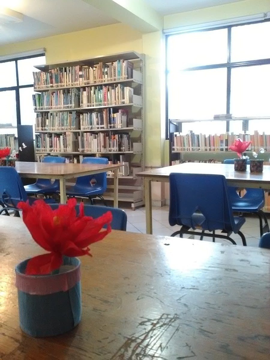 Biblioteca Elena Garro