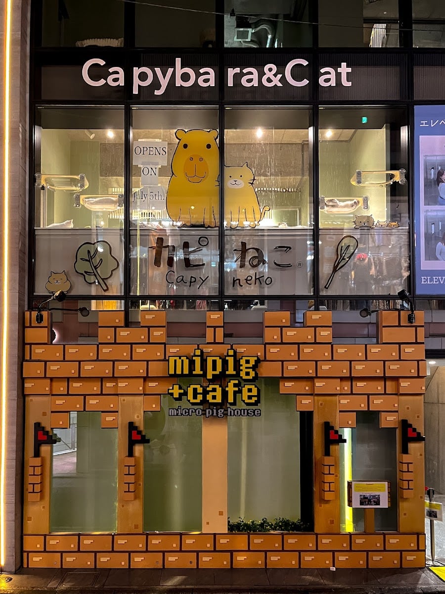 mipig cafe Harajuku Takeshita Street