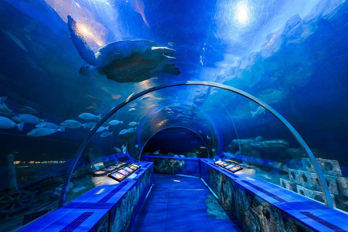 しながわ水族館