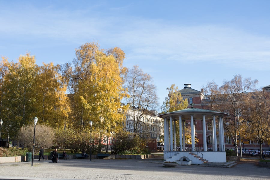 Birkelunden