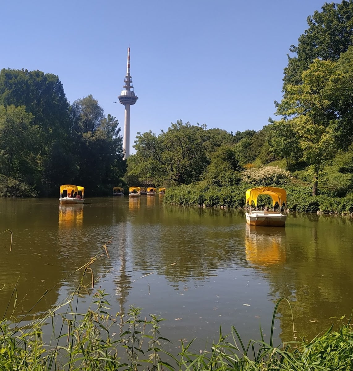 Luisenpark
