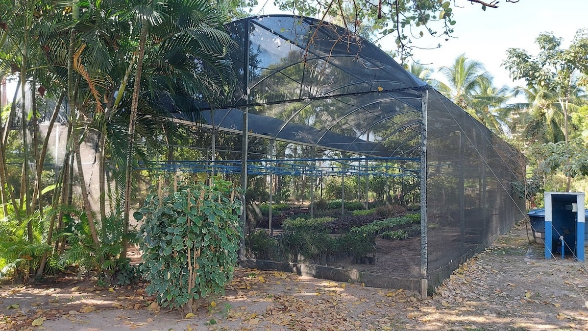Horto - Enrequecimento ambiental, conhecimento de novas plantas, pode levar mudas de lembrança