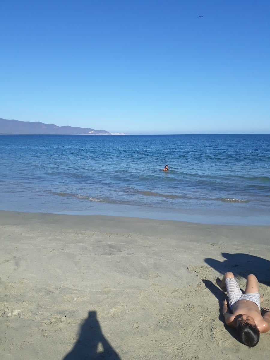 Chipehua