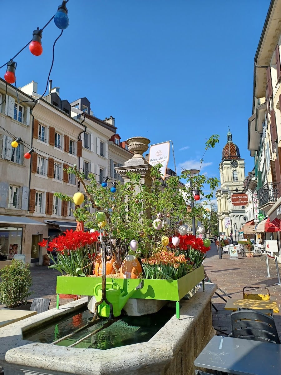 Vaud