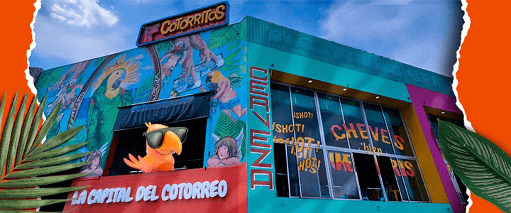 Cotorritos Interlomas
