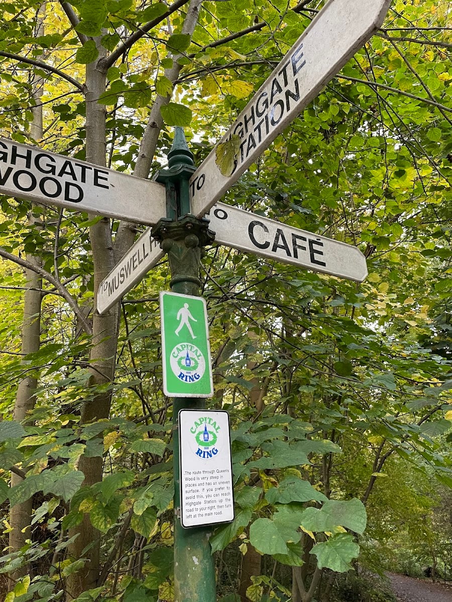 Queens Wood