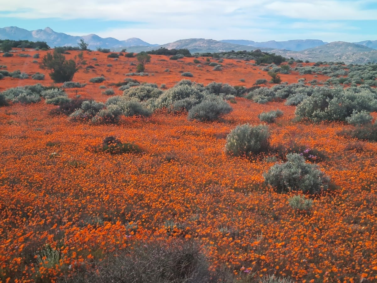 Namaqua National Park