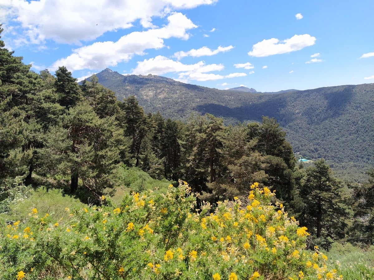 Cercedilla