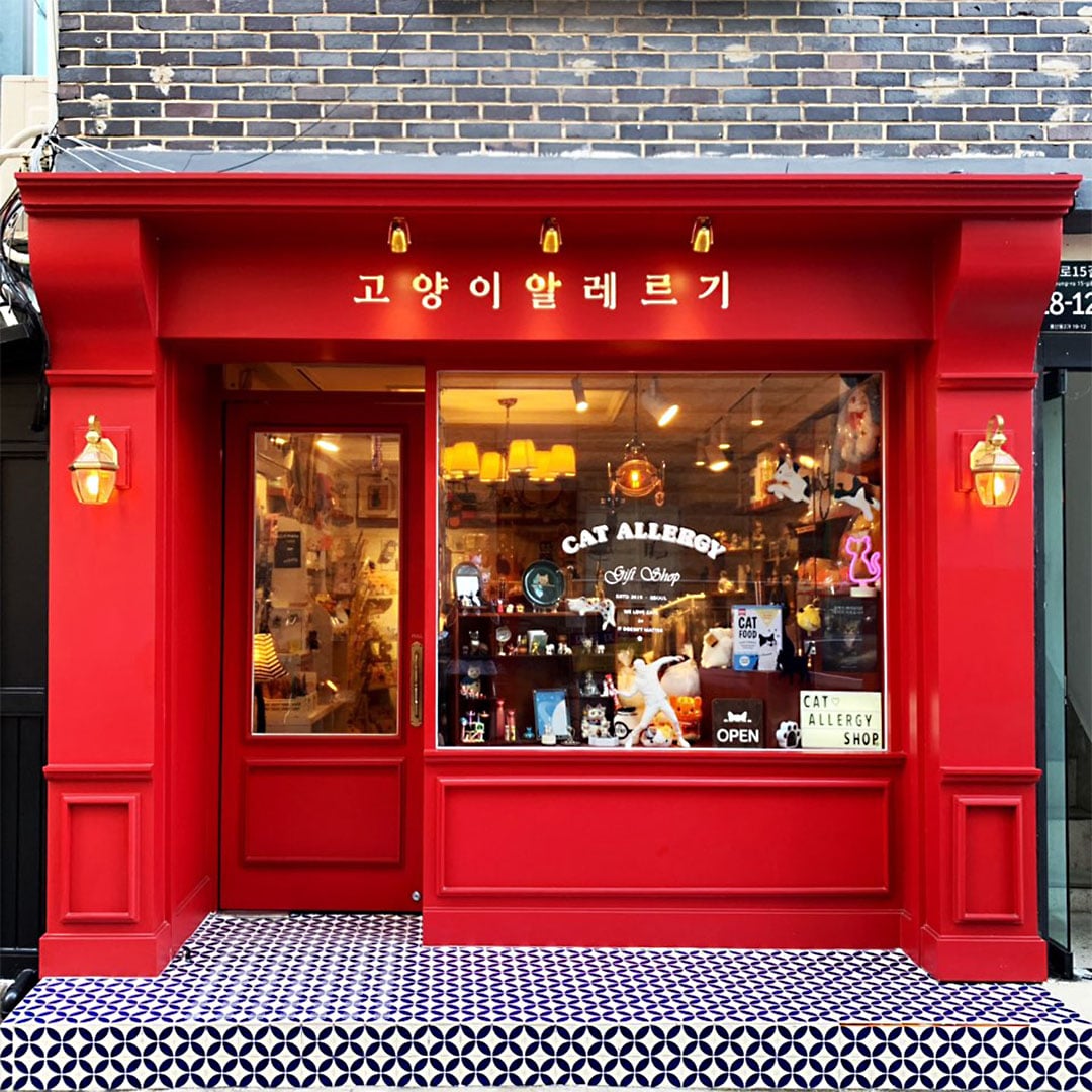 고양이알레르기 cat allergy shop