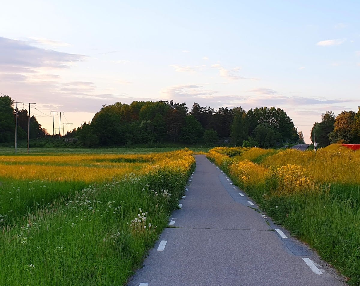 Gamla Uppsala