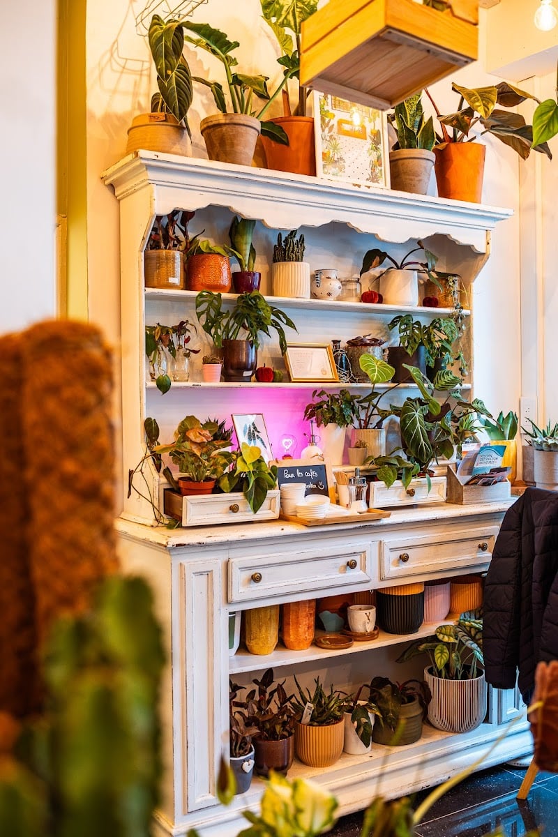 Des Plantes & Vous