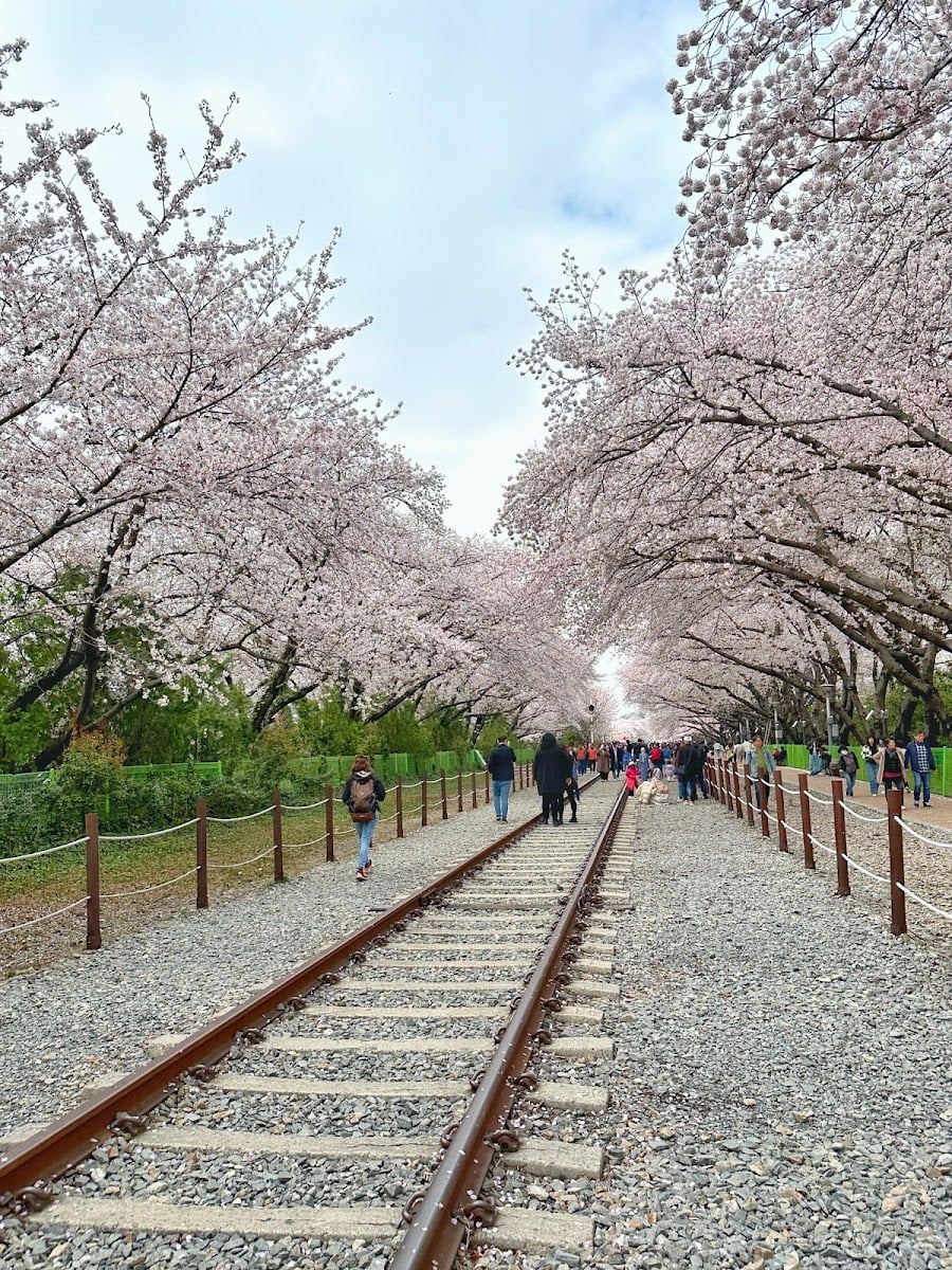 Gyeonghwa Station Park