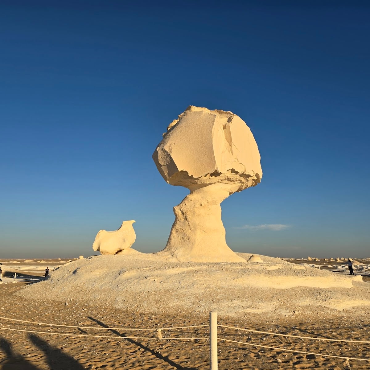 White Desert National Park