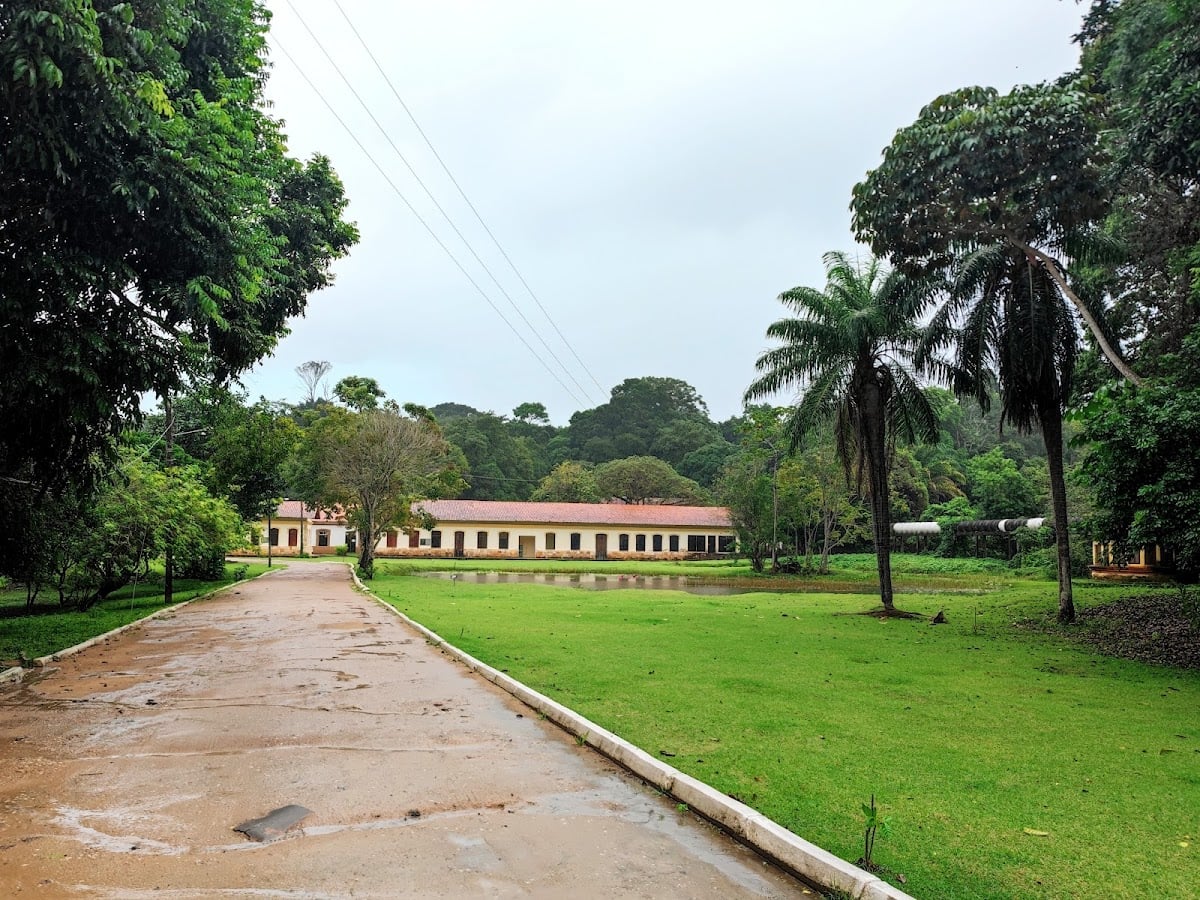 Jardim Botânico - tarde