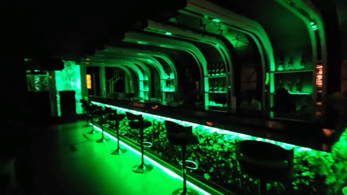 Jungle club