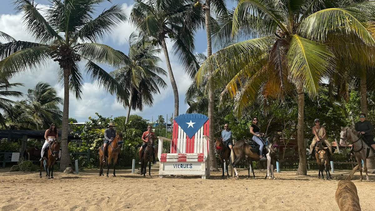 Mar Caribe PR Horseback Riding