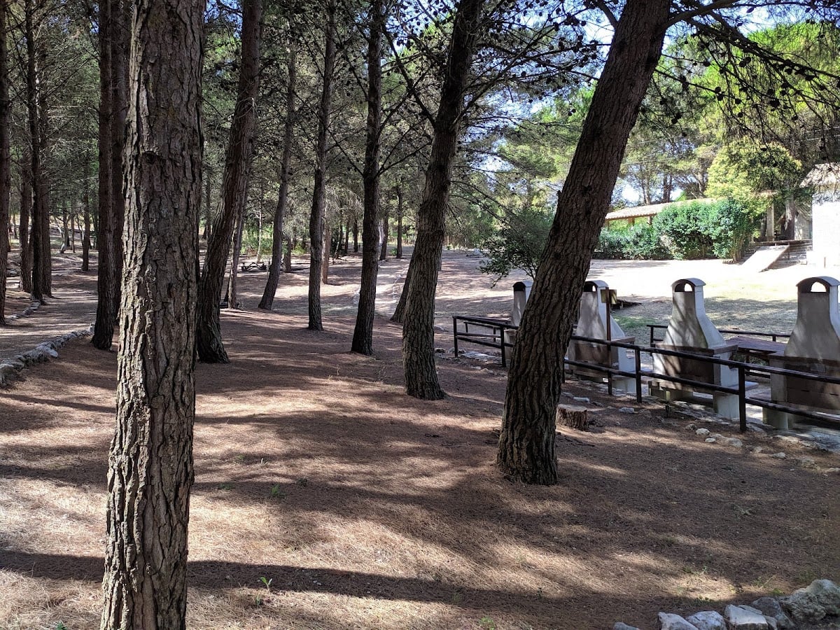 Bosco Finestrelle