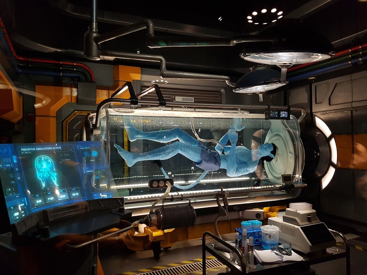 Avatar Flight of Passage