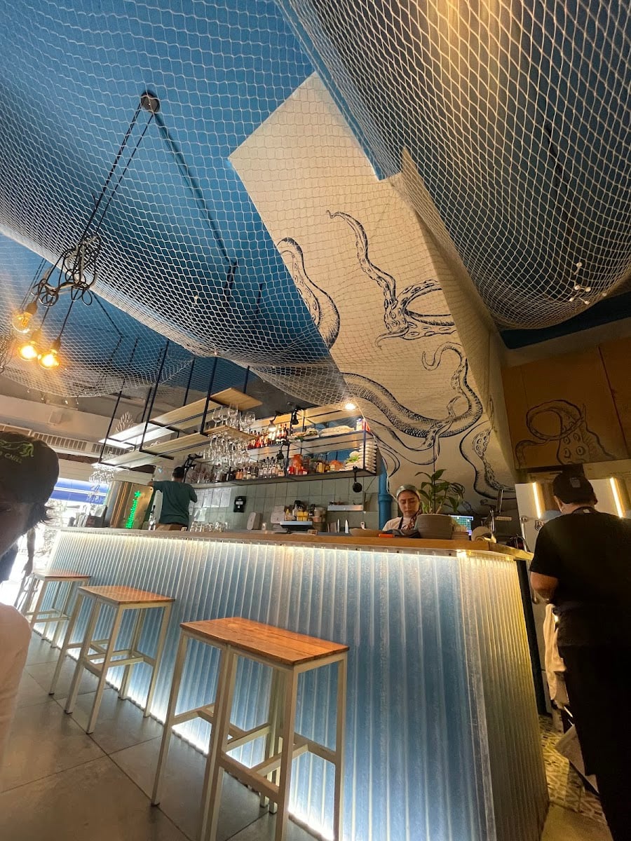 Polvo Bar