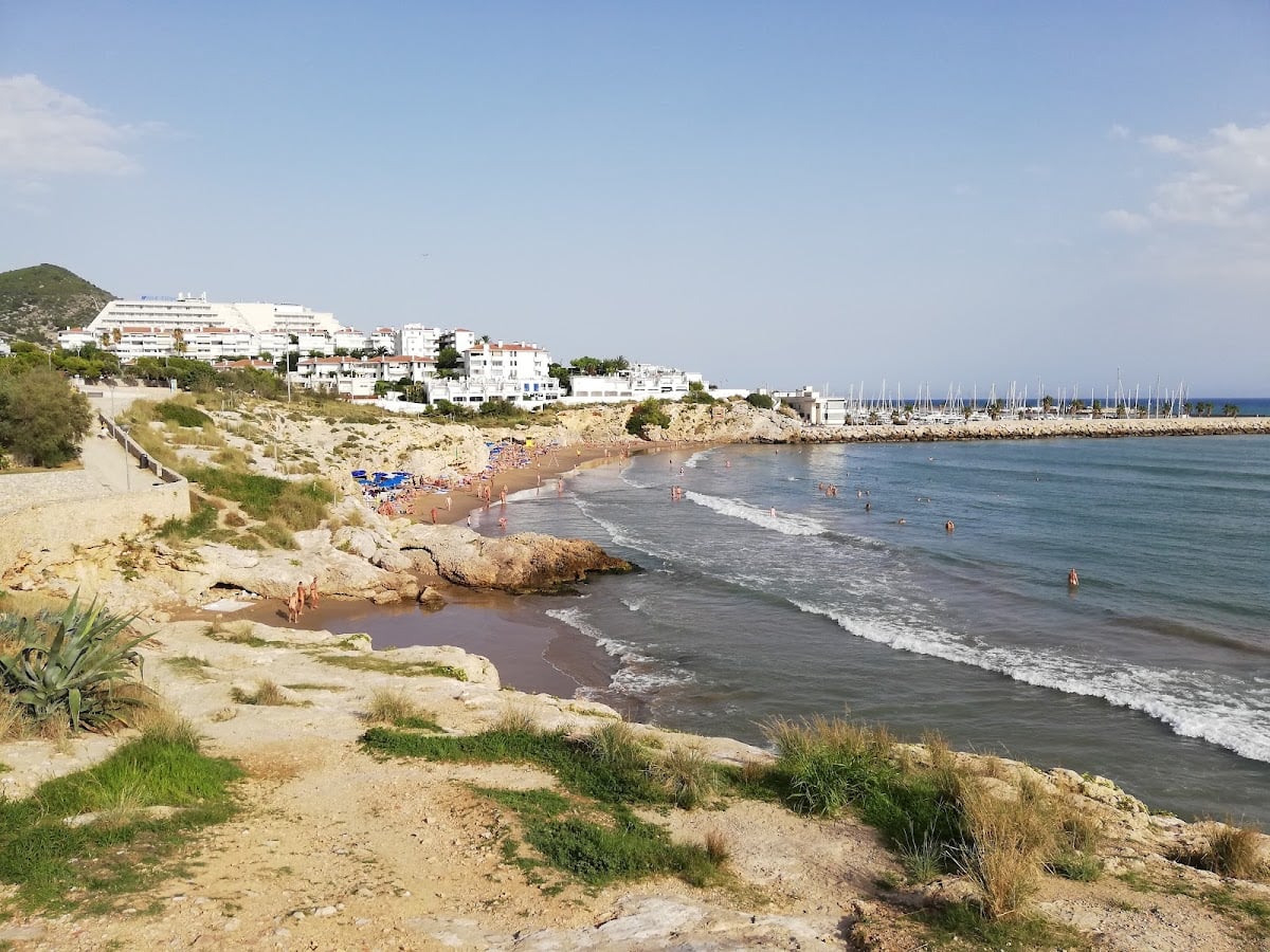 Platja dels Balmins