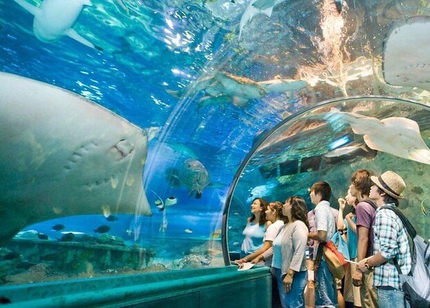Underwater World Langkawi