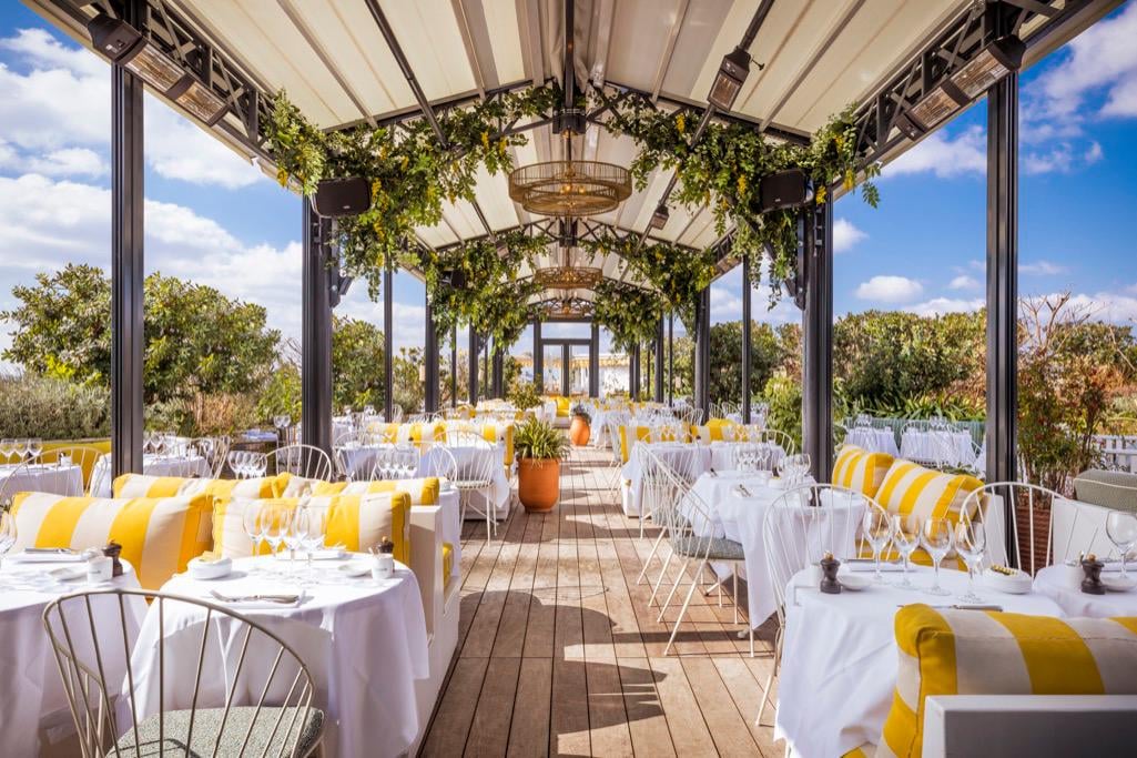 Perruche - Restaurant