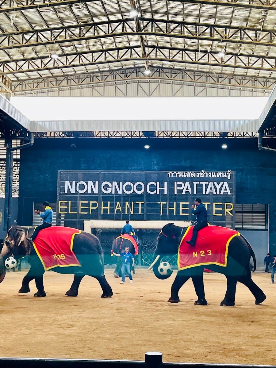 Nong Nooch Pattaya Elephant Theater