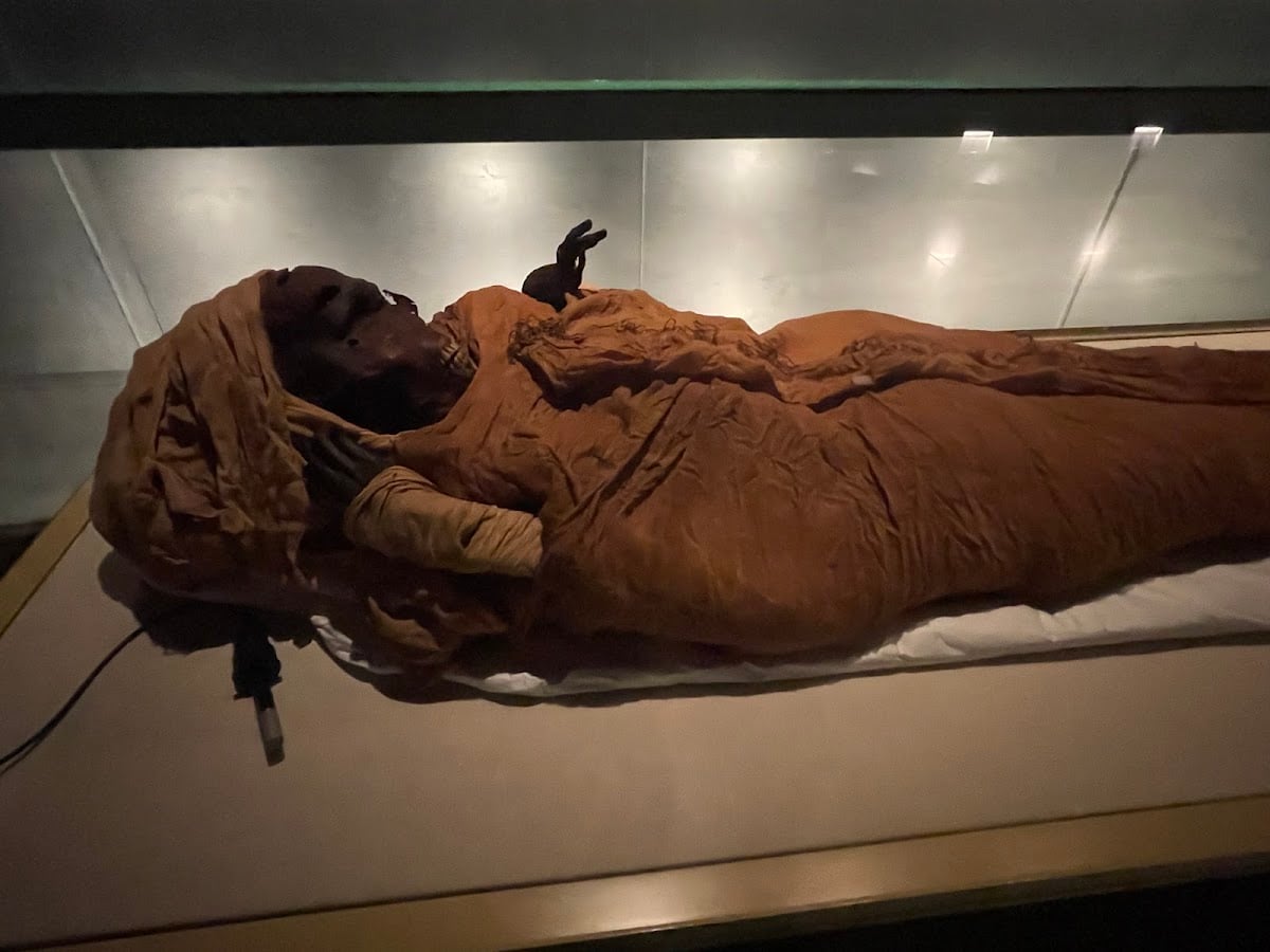 The Royal Mummies Hall