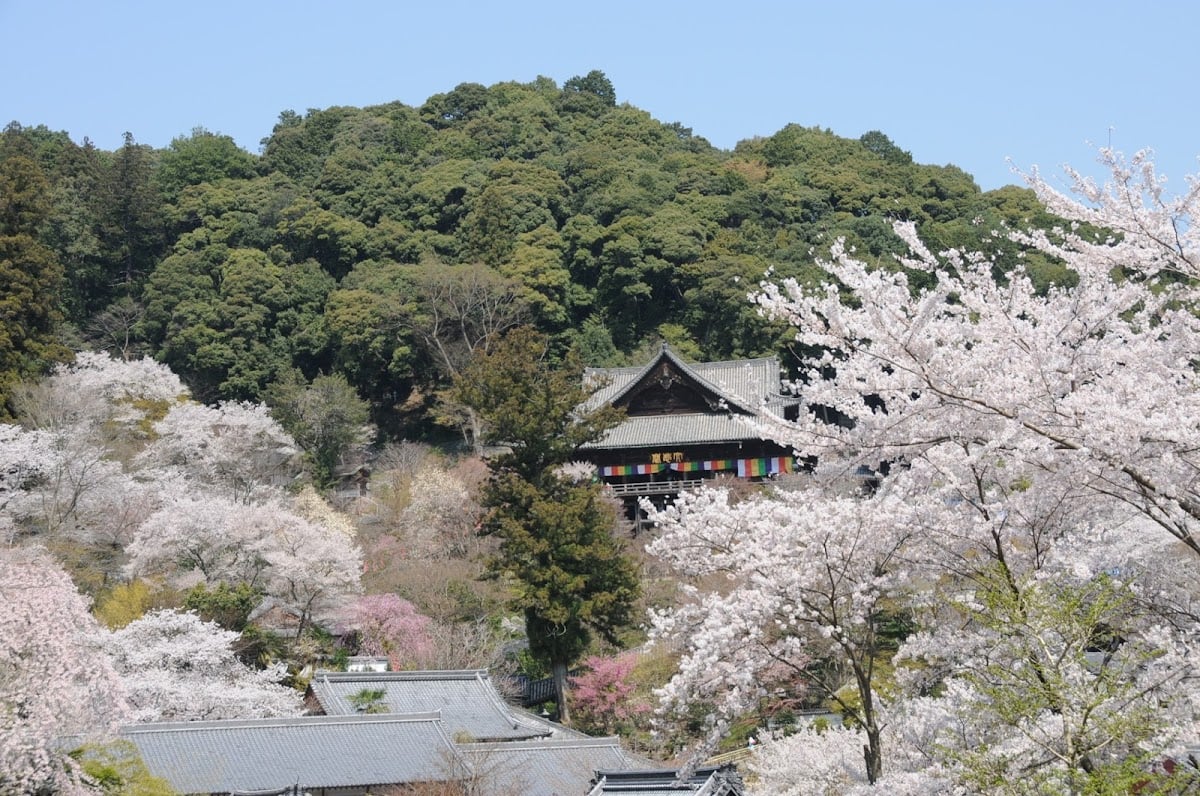 Hasedera Temple