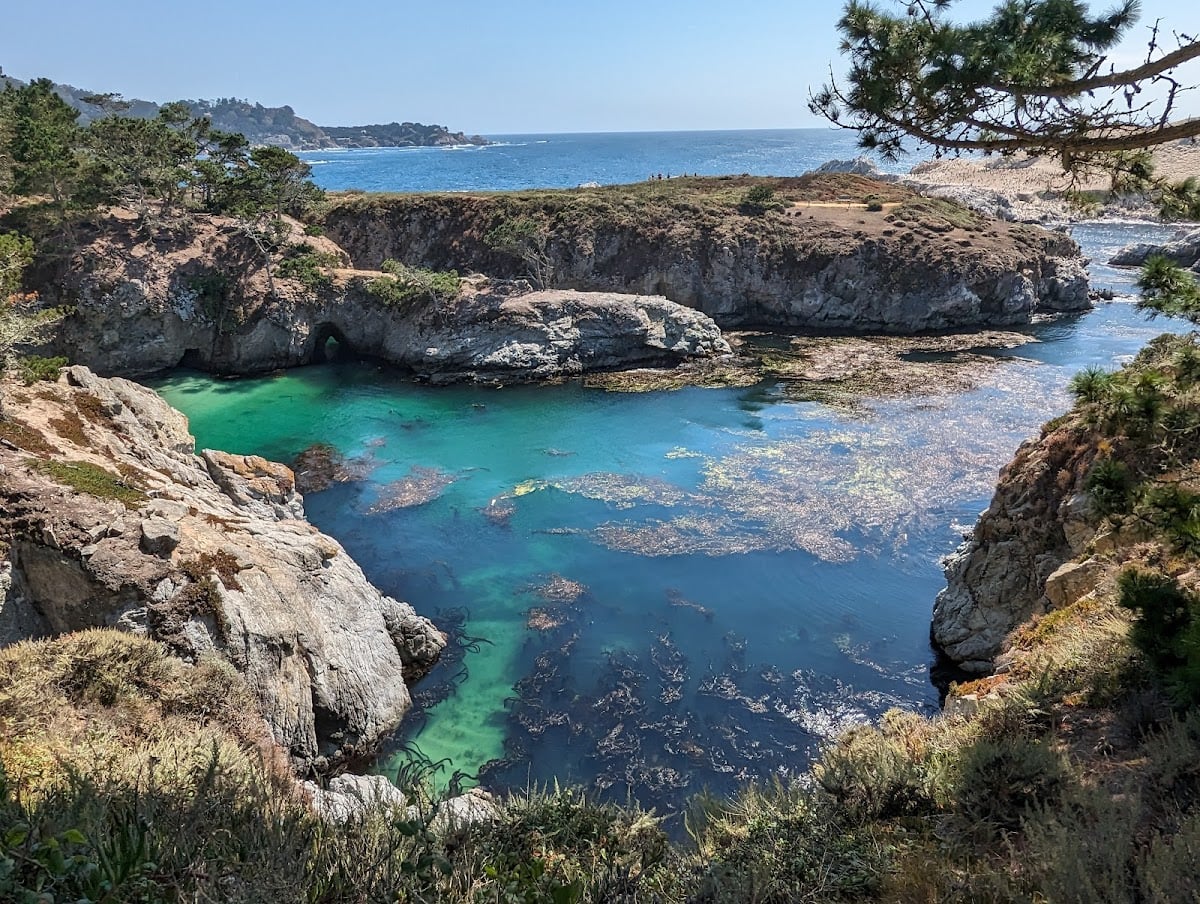 Point Lobos State Natural Reserve