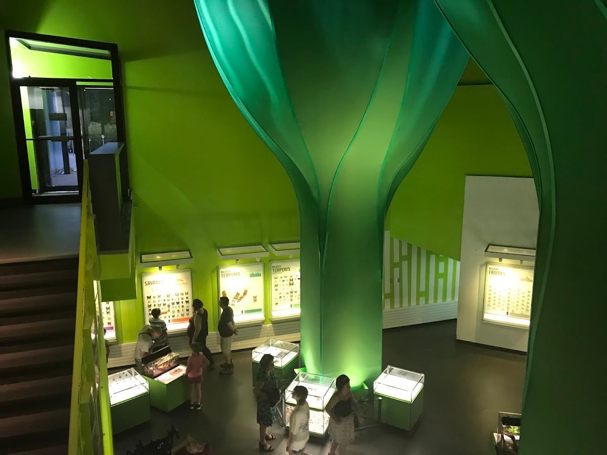 Insectarium de Montréal - Insect Museum