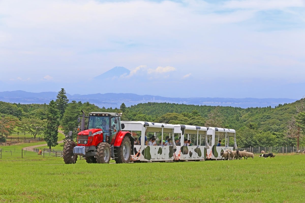 マザー牧場