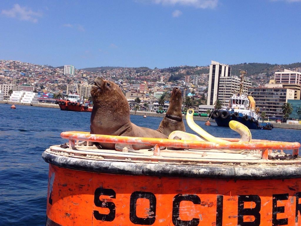 Valparaíso