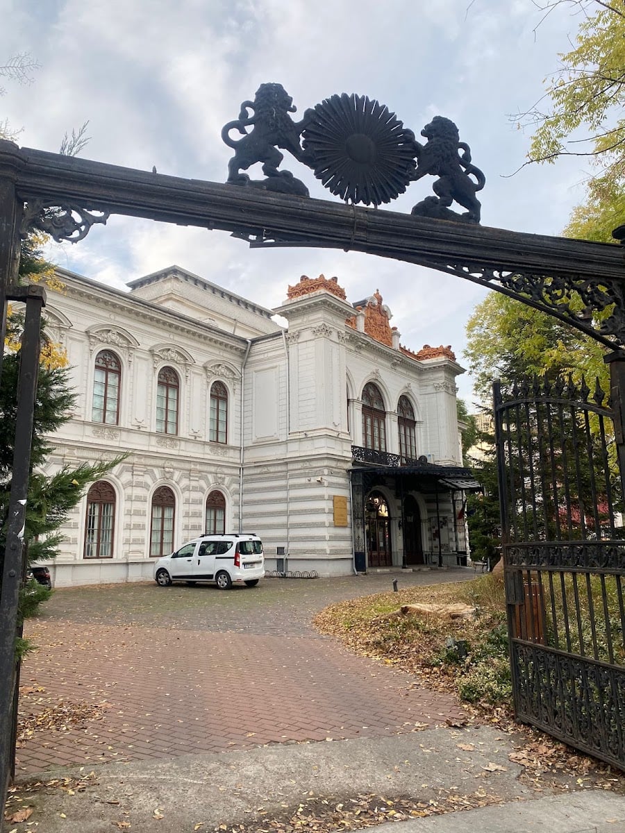 Palatul Suțu
