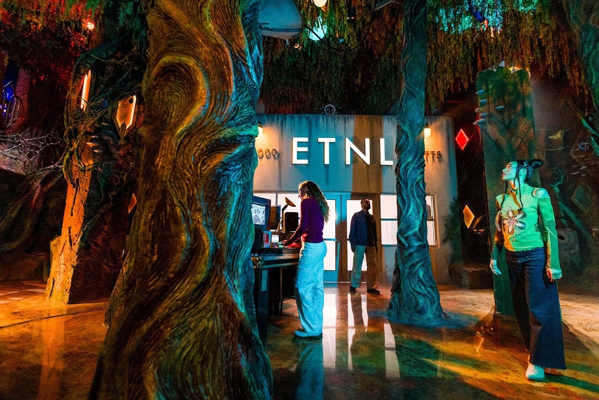 ⋆.˚ meow wolf ⋆.˚୨୧