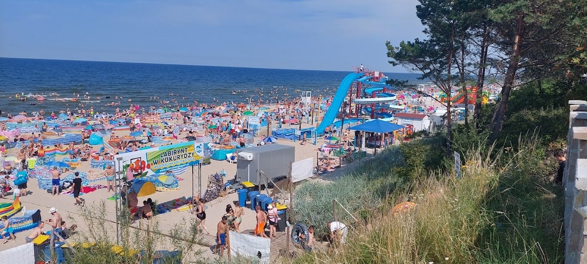 Stegna