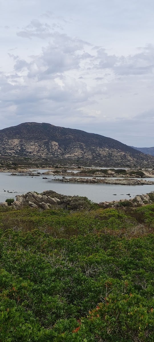 Porto di Fornelli