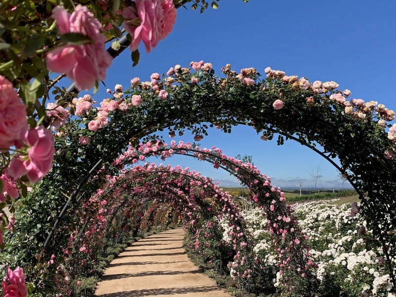 Mátria Parque de Flores