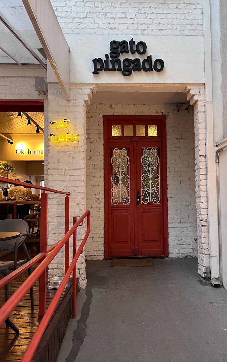 Gato Pingado Cat Cafe