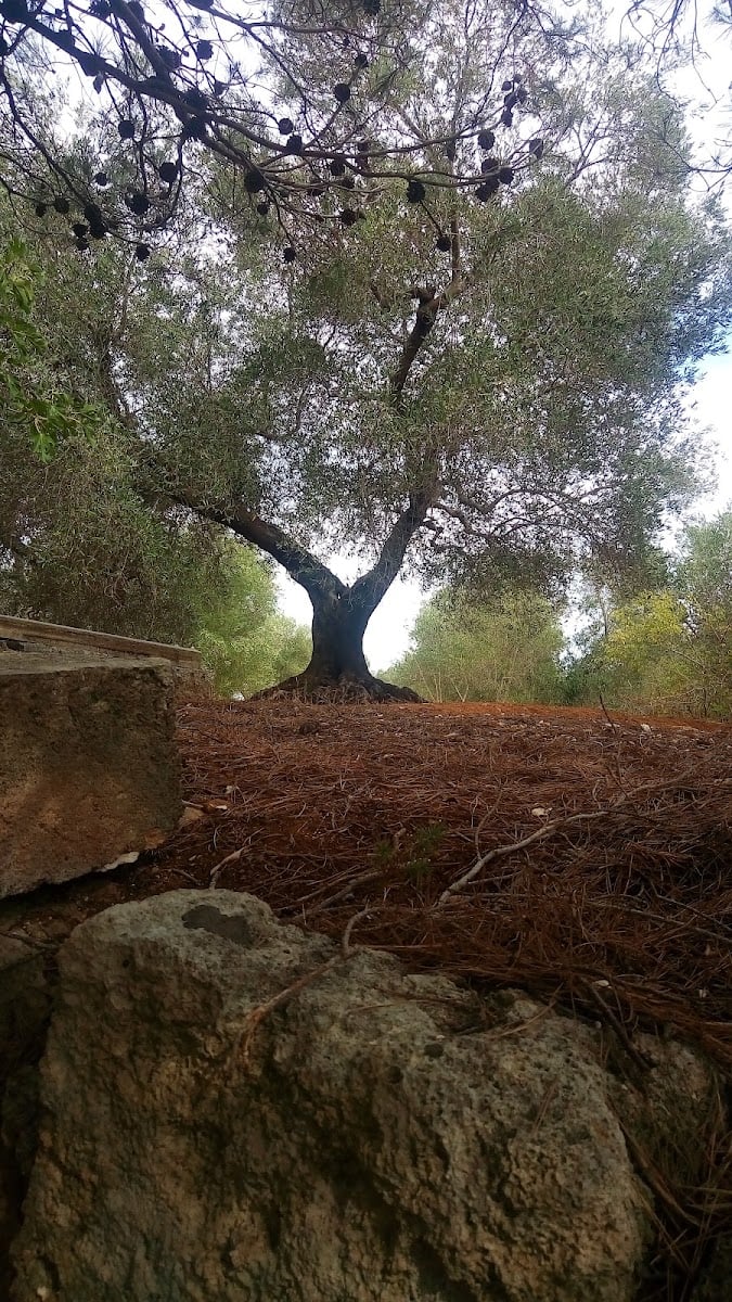 Paglione di Poldo