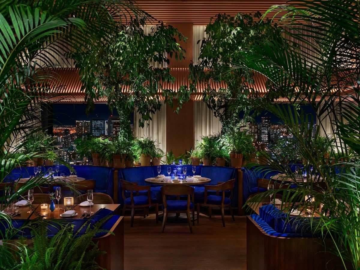 the blue room tokyo - Tokyo