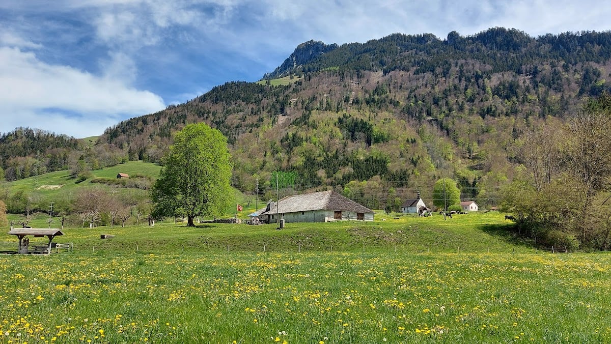 Gruyère