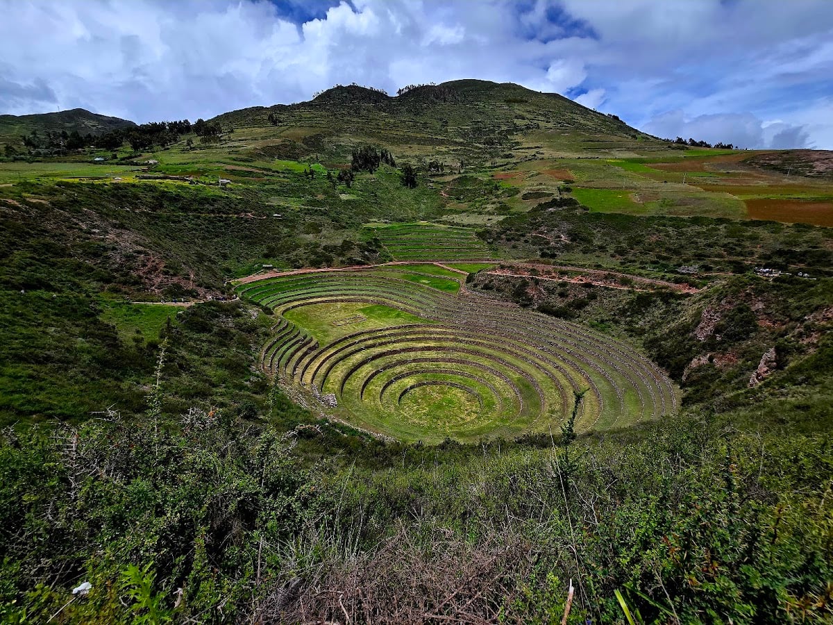 Moray