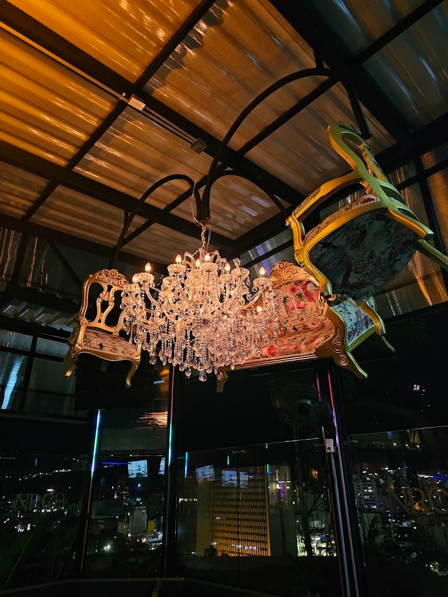 Narcisa SkyDisco