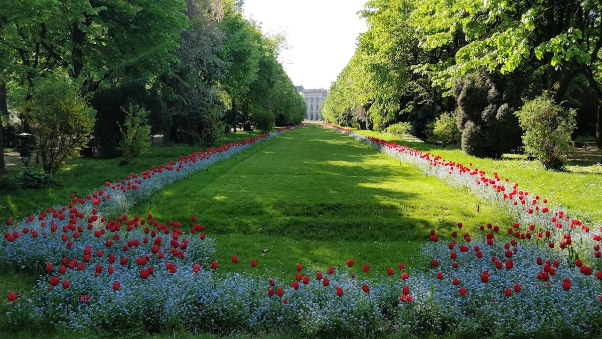 Cișmigiu-Park