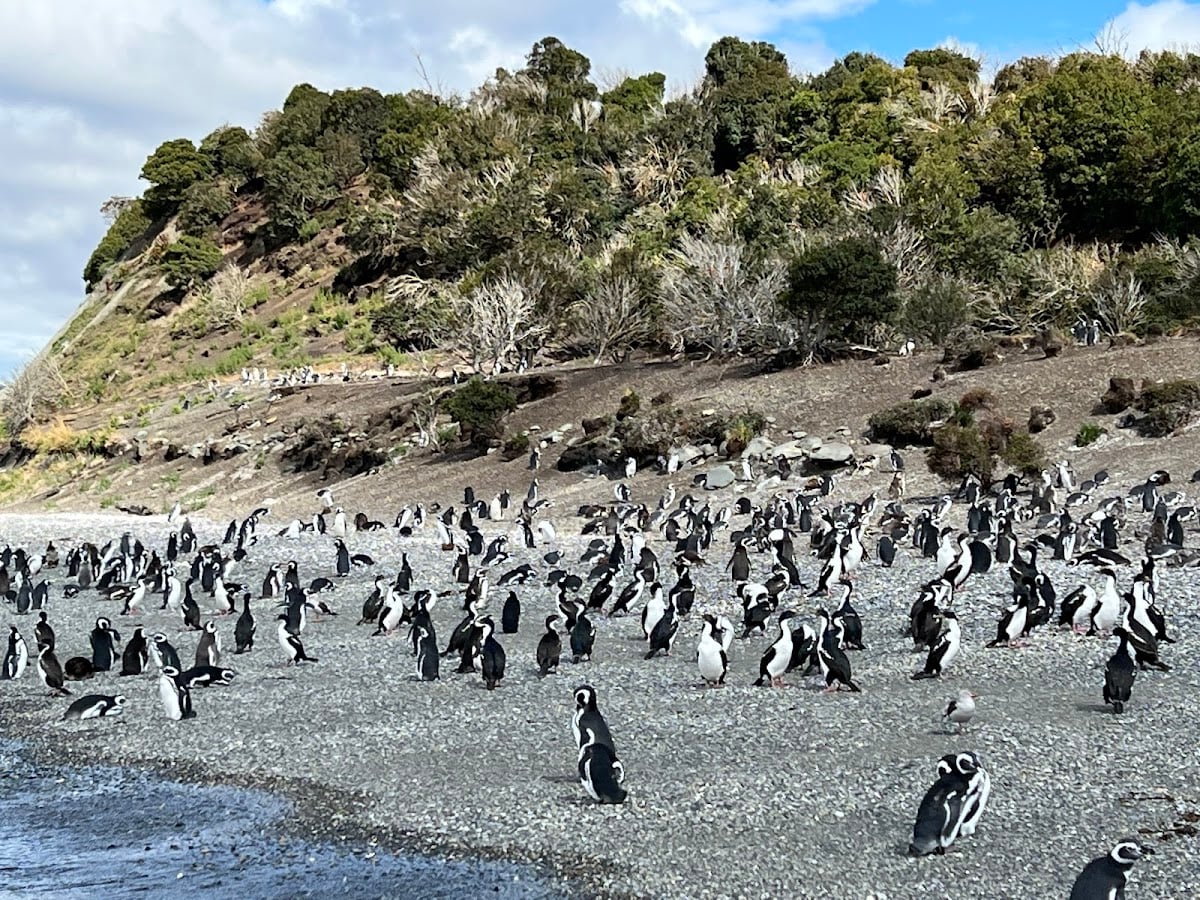 Isla Martillo